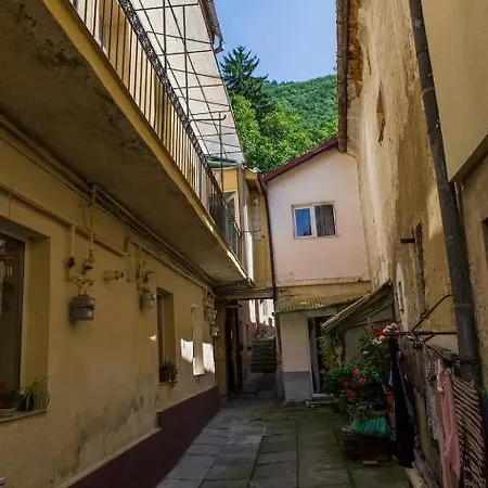 Eco Apartment